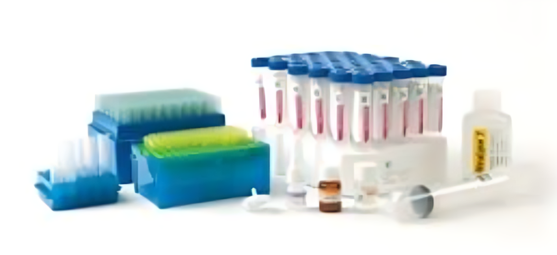 pruebas qPCR Pruebas qPCR