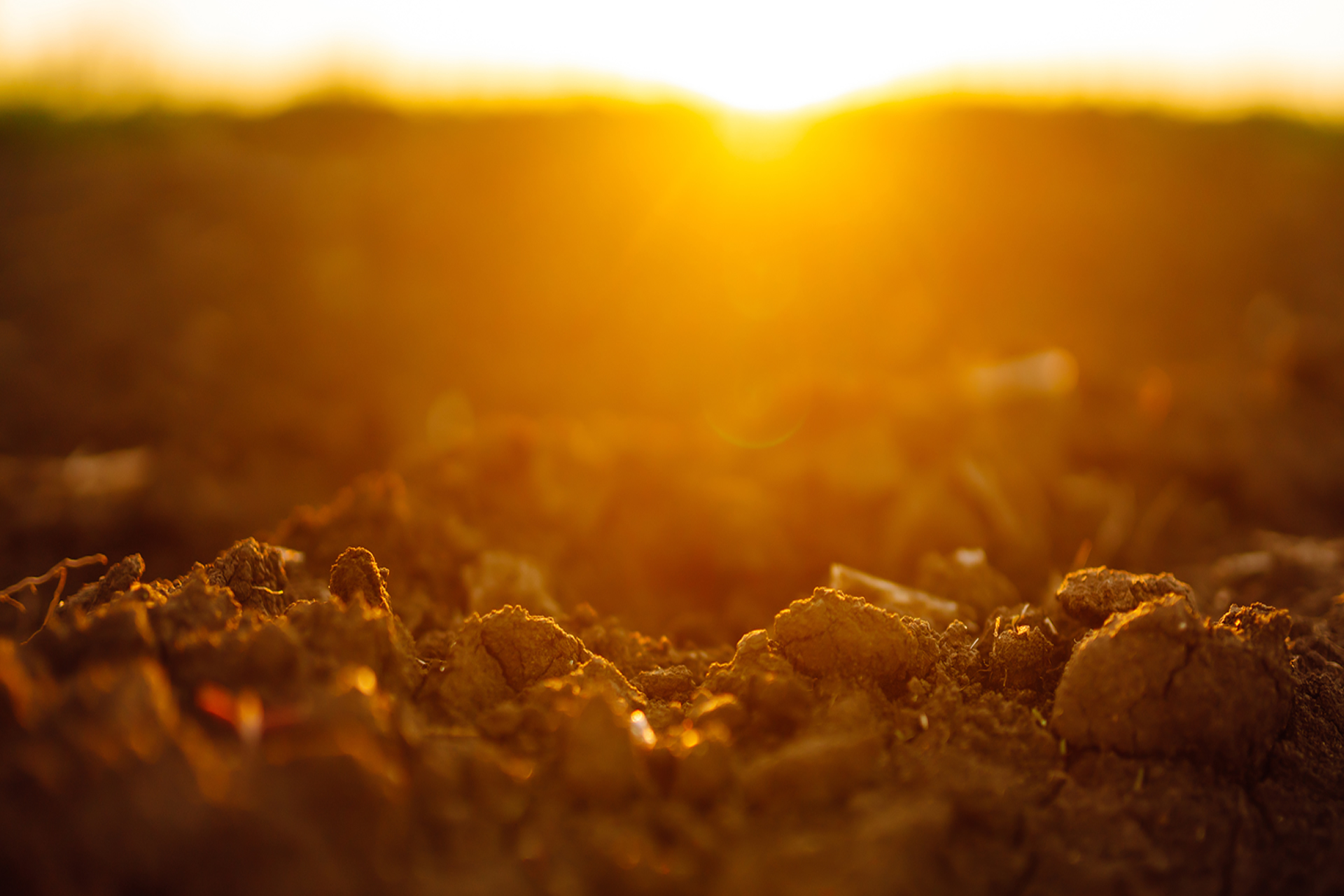 tecnologia antisarro en la agricultura fertilizacion de la tierra